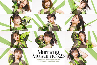 Professionals-17th | Hello! Project Wiki | Fandom