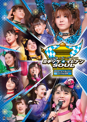 Morning Musume Concert Tour 2013 Haru Michishige☆Eleven