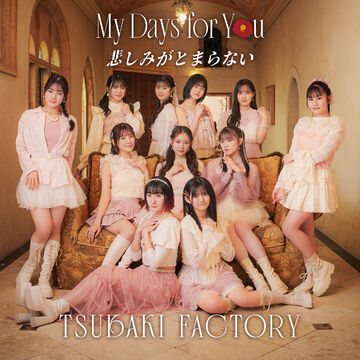 My Days for You / Kanashimi ga Tomaranai | Hello! Project