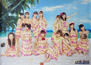 Morning Musume LOVE IS ALIVE! 2002 Natsu at Yokohama Arena | Hello! Project  Wiki | Fandom