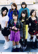 January 2009 (Shiawase no Katachi)