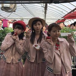 Juice=Juice Miracle×Juice×Bus4 in IZU DVD『Juice=Juice Fanclub Tour Miracle×Juice×Bus4 in IZU