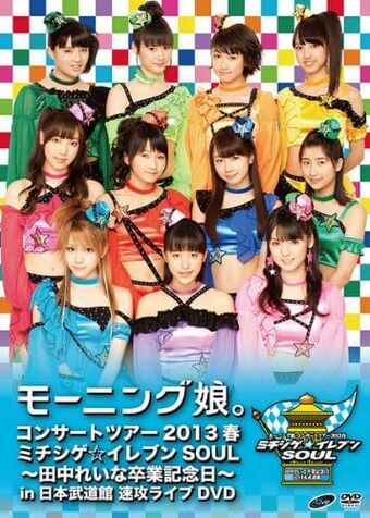 Morning Musume Concert Tour 2013 Haru Michishige☆Eleven