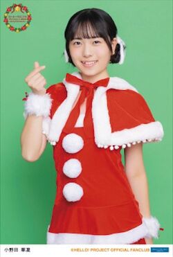 Rosy Chronicle FC Event 2024 ~Rosy Christmas~! | Hello