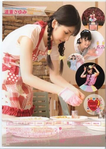 Morning Days Happy Holiday ~Michishige Sayumi Birthday Fanclub