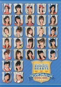 Wonderful Hearts Visual Book