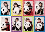 OCHA NORMA Member Colors