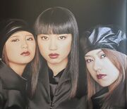 Tanpopo 1999