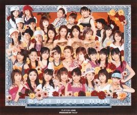 PetitBest4-dvd
