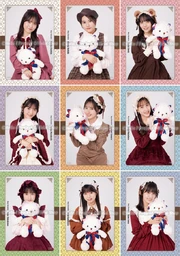 Rosy Chronicle Member Colors