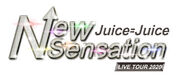 JuiceJuice-NEWSENSATION-logo