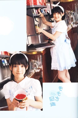 Momochi Zukan | Hello! Project Wiki | Fandom