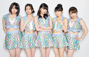 Kobushi Factory, 