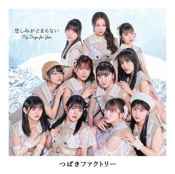 My Days for You / Kanashimi ga Tomaranai | Hello! Project