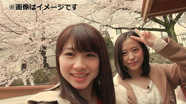 【A90】繾綣文集。 Love Collection 楽天市場】最大500円クーポン配布中 箔押しポストカード 布川