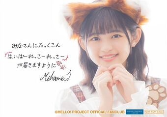 DVD つばきファクトリー 谷本安美 石井泉羽 バースデーイベント2024 Tsubaki Factory Tanimoto Ami・Ishii Mihane Birthday Event