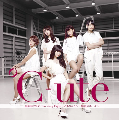 Arigatou Mugen No Yell Arashi Wo Okosunda Exciting Fight Hello Project Wiki Fandom