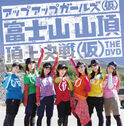 Dvd 14 B.jpg