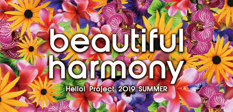 Hello! Project 2019 SUMMER | Hello! Project Wiki | Fandom