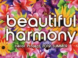 Hello! Project 2019 SUMMER