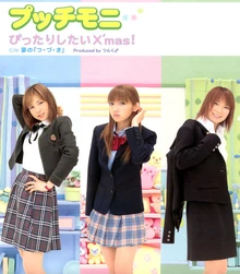 PittariShitaiXmas-r