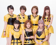 Berryzkobophotovol2