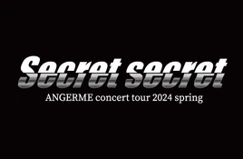 ANGERMEconcerttour2024spring
