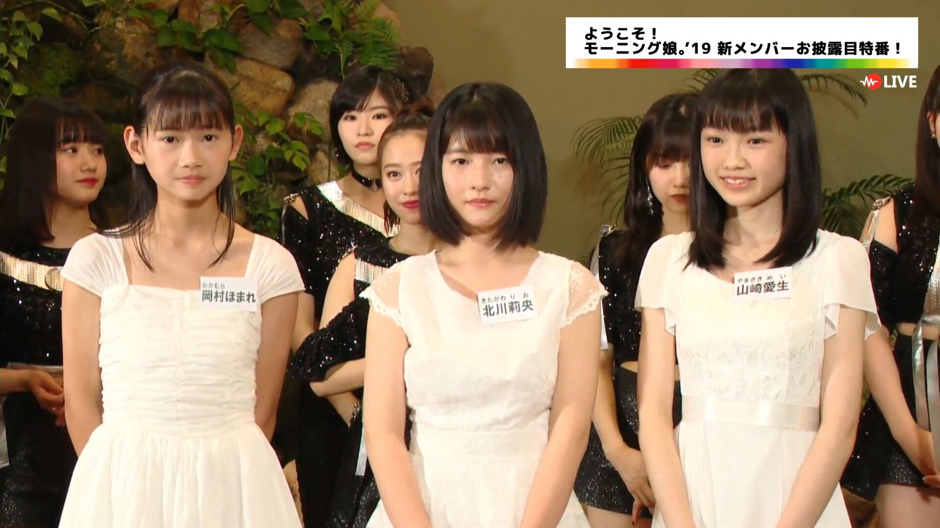 Hello！　Project　2019　SUMMER　～beautiful・ha Hello! Project 2019 SUMMER | Hello! Project Wiki | Fandom