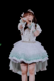 Kurumin grad 2026