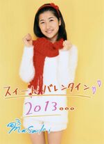 January 2013 (Hello Pro Maruwakari BOOK 2013 WINTER)