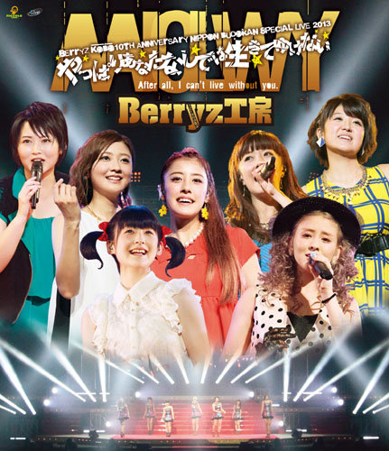 Berryz Koubou 10 Shuunen Kinen Nippon Budokan Special Live 2013 ~Yappari  Anata Nashide wa Ikite Yukenai~ | Hello! Project Wiki | Fandom