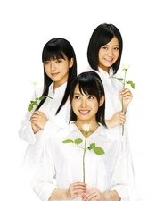 Petitmoni V, July 2009