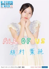 Uemura Hasumi