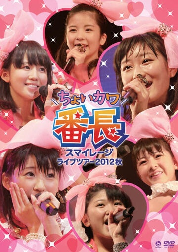 S/mileage Live Tour 2012 Aki ~Choi Kawa Banchou~ | Hello! Project