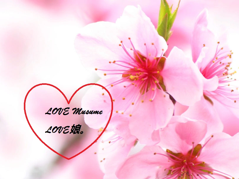 LOVE Musume | Hello!projectfanon Wiki | Fandom