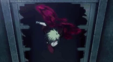 Seras shapeshifts her left arm into wings