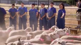 Episode 1004 thumbnail