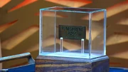 The Punishment Pass in its glass casing in Season 18.