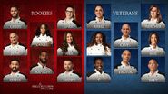 Rookies vs. Veterans