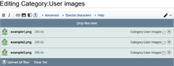 When uploading with the MsUpload, you'll see a window like this. Click image to enlarge.