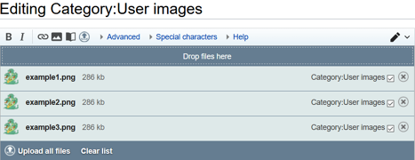 MsUpload ile yüklerken, böyle bir pencere göreceksiniz. Büyütmek için resme tıklayın.