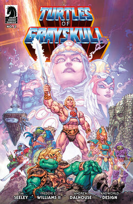Dark Horse - Turtles of Grayskull 02 - Freddie Williams II cover
