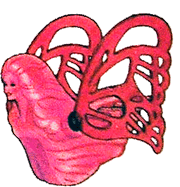 Butterflyer.gif