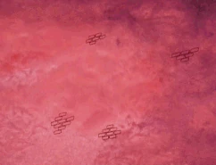 Spellstone 09.gif (3.42 MB)