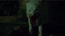 Screen Shot 2015-11-20 at 11.05.42 PM.png