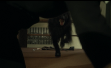 Screen Shot 2015-01-19 at 8.43.51 PM.png