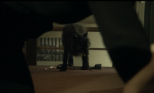Screen Shot 2015-01-19 at 8.43.35 PM.png
