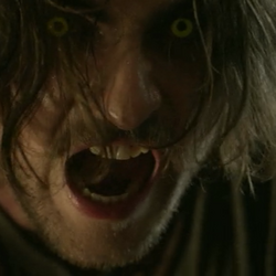 Category:Species | Hemlock Grove Wiki | Fandom