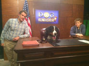 DOG JUDGE