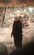 Fakesnow1